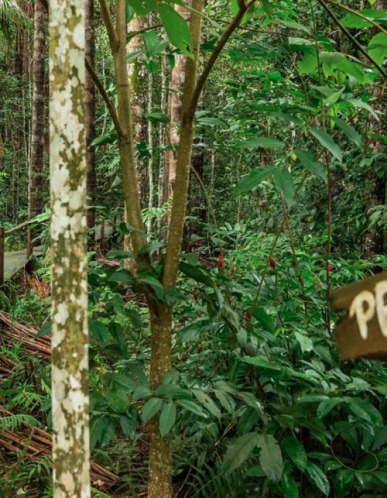 Dois empreendimentos de MT conquistam vaga em seleção nacional de 101 experiência turísticas
