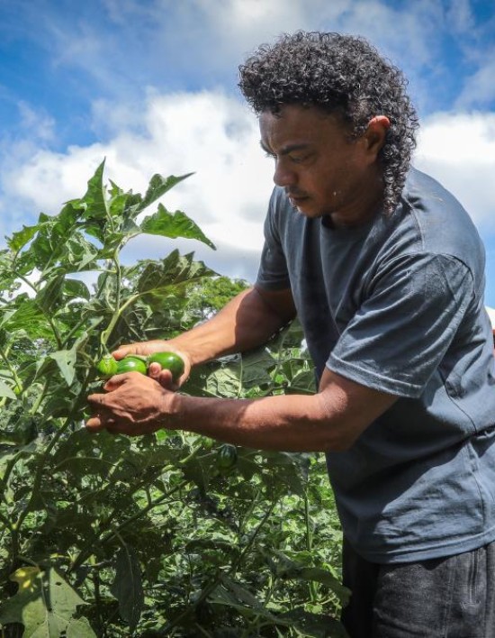 Governo fortalece pequenos agricultores e incentiva produção no campo