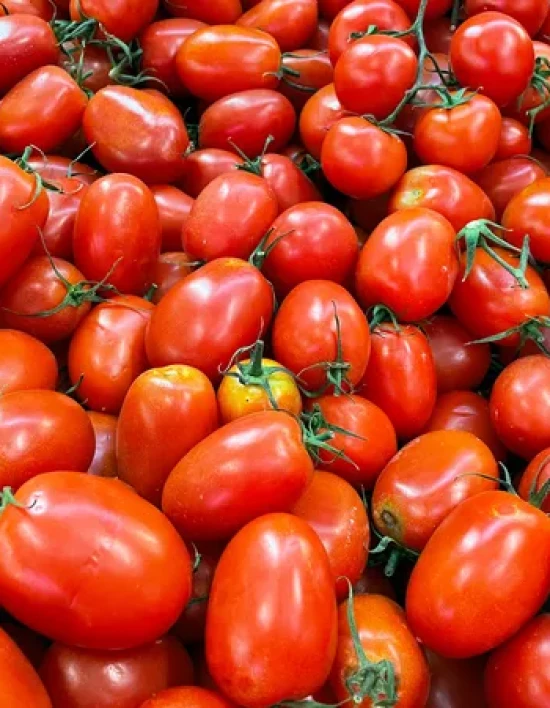 Preço do tomate quase dobra em 1 ano