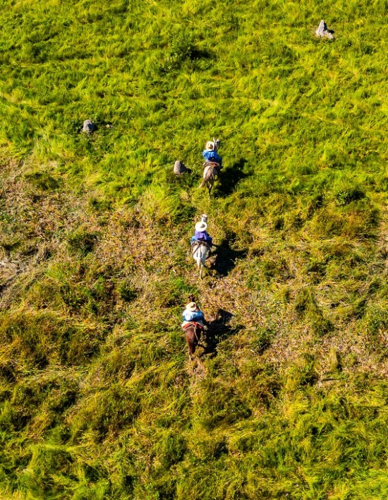 Produtores devem estar atentos ao início do período proibitivo do uso do fogo no Pantanal