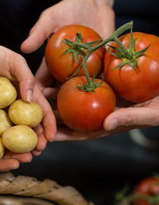 Preço da cesta básica tem nova queda na última semana de junho