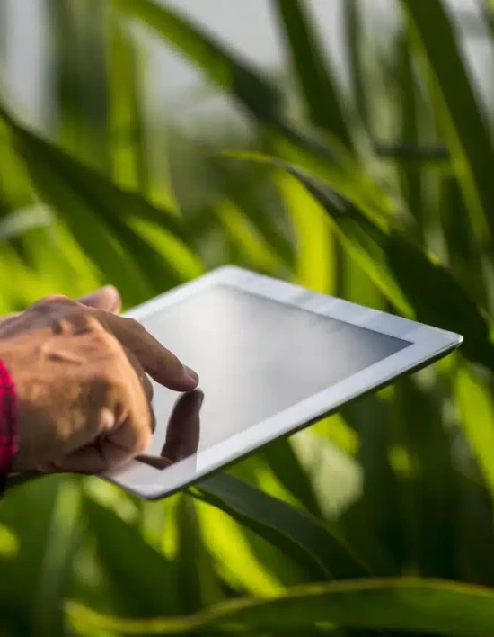 Demanda por crédito no agro ultrapassa R$ 1 trilhão e atrai nova geração de investidores