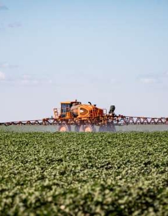 Mato Grosso puxa alta na estimativa de produção agrícola e consolida liderança nacional