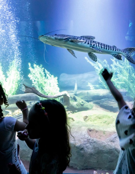 Aquário Municipal é sucesso de visitação no período de férias escolares
