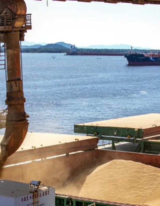 Mato Grosso ignora queda nacional e bate recorde de exportação de soja para a China