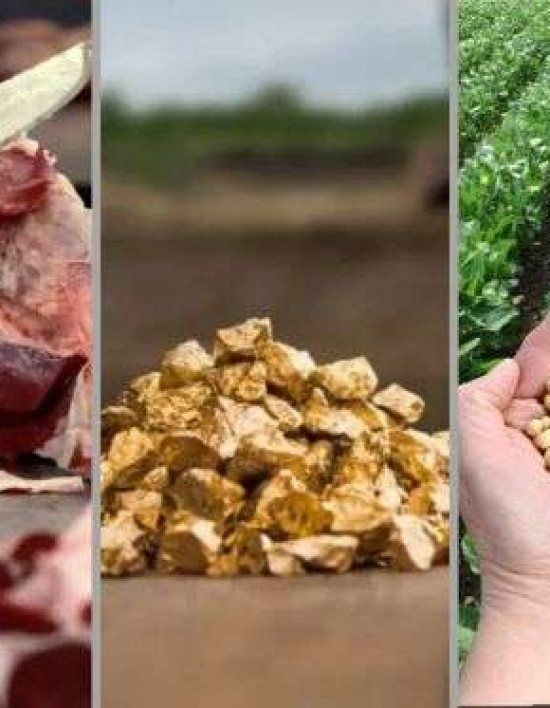 Taxação de 50% dos EUA impacta ouro, carne e soja, ameaçando economia de Mato Grosso