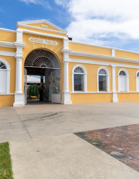 Com apoio da Prefeitura, Feira Cultural do Japão volta a Cuiabá após 10 anos