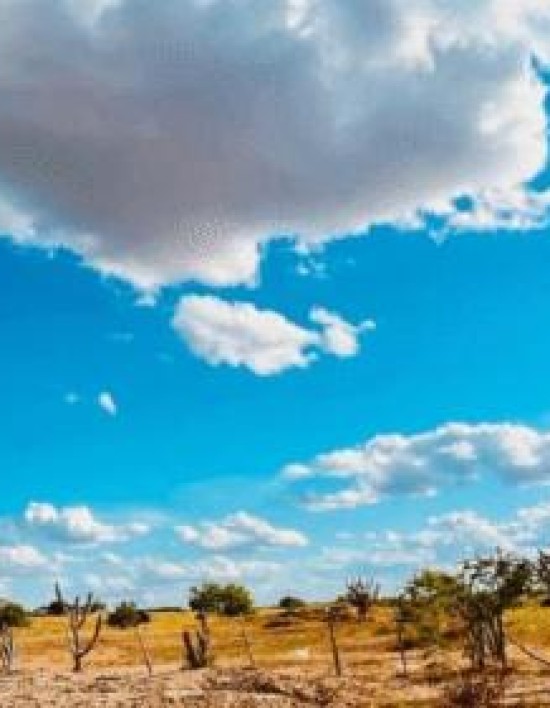 Mato Grosso com umidade do Saara! Alerta máximo de “grande perigo” é emitido pelo Inmet