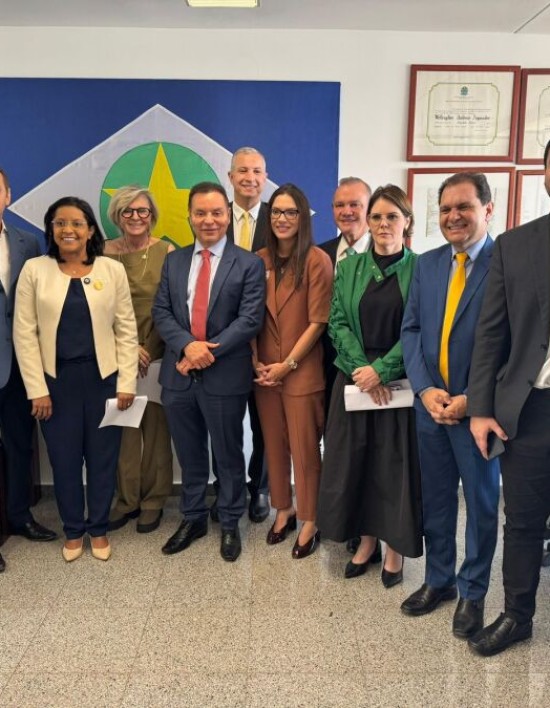 Deputados estaduais e bancada federal discutem contrato de concessão de energia elétrica