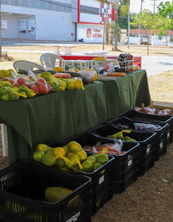 Incentivar o pequeno produtor é incentivar o desenvolvimento de Várzea Grande, afirma Flávia Moretti