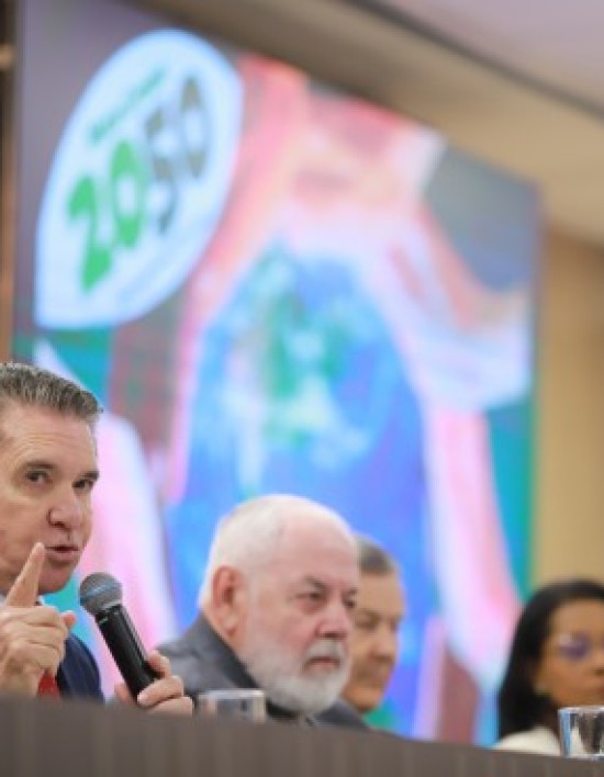 Comissão do TCE-MT reforça prevenção e educação ambiental no enfrentamento às queimadas