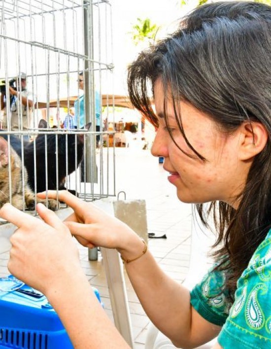 Diretoria de Bem-Estar Animal promove mais uma edição da feira de adoção voluntária de pets