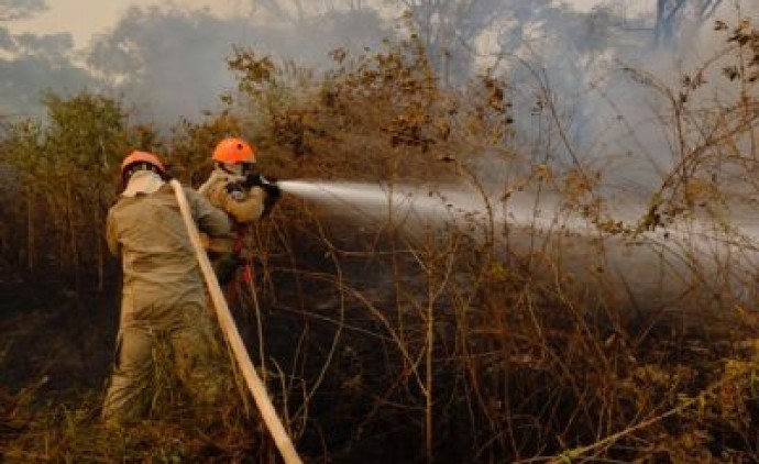 MT tem 30 dias para apresentar ao STF o plano de prevenção de queimadas no Pantanal