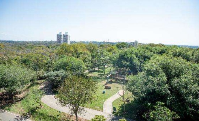 Parque Mãe Bonifácia possui novo Mirante e trilhas para caminhada; veja regras para utilização