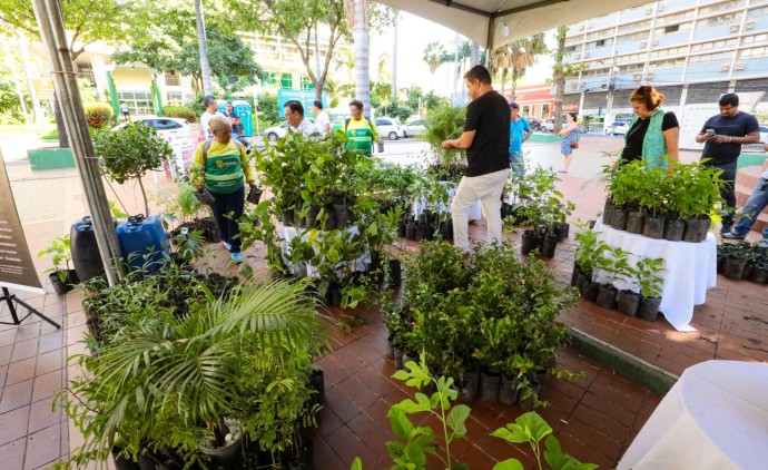 Projeto de doação de mudas frutíferas é um sucesso e será desenvolvido em outras regiões da cidade ao longo do mês