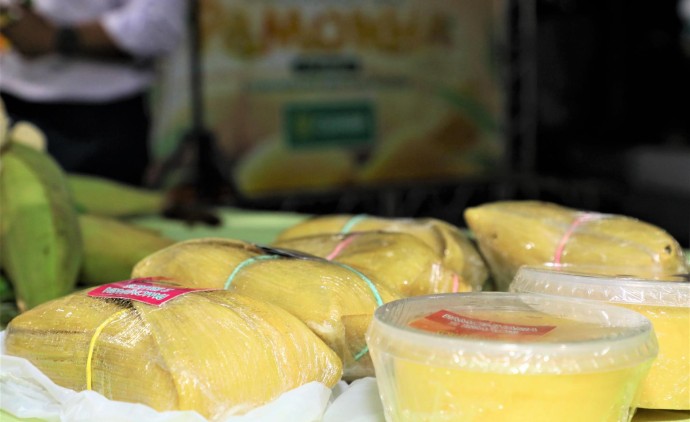 Festival terá shows de rasqueado, sertanejo e mais de 20 opções de pamonhas, com preço a partir de R$ 10; Confira a programação que começa no dia 19