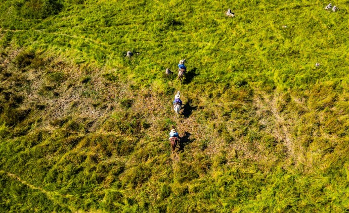 Produtores devem estar atentos ao início do período proibitivo do uso do fogo no Pantanal