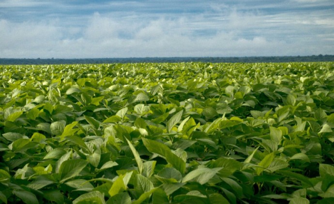 Governador de MT vai mostrar potencial do agro ao público europeu