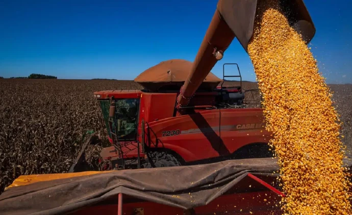 Produção de grãos deve passar de 107 mi t e bater novo recorde em MT