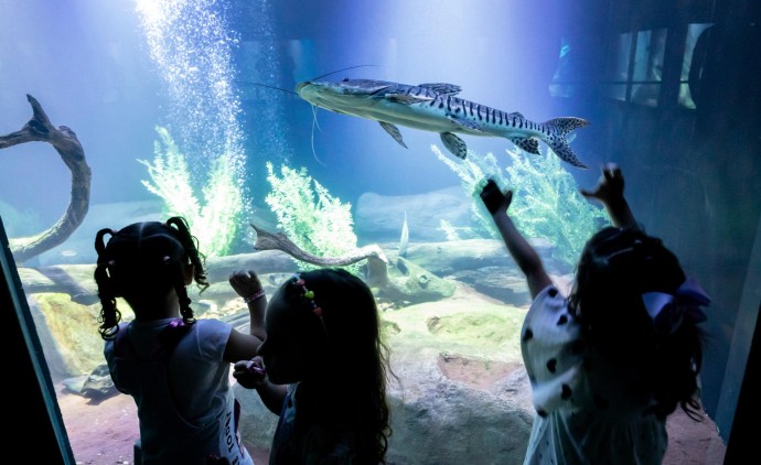 Aquário Municipal é sucesso de visitação no período de férias escolares