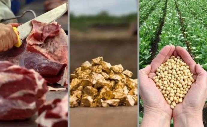 Taxação de 50% dos EUA impacta ouro, carne e soja, ameaçando economia de Mato Grosso