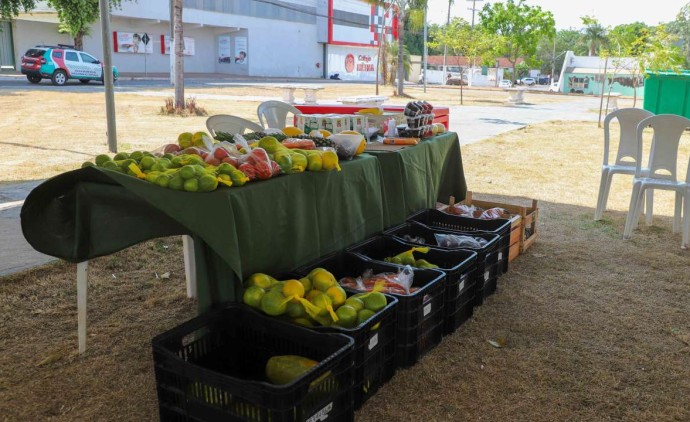 Incentivar o pequeno produtor é incentivar o desenvolvimento de Várzea Grande, afirma Flávia Moretti