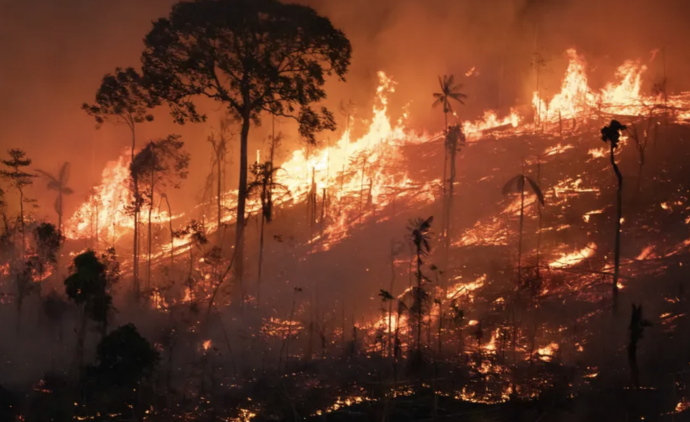 Amazônia tem pior agosto de queimadas dos últimos 12 anos
