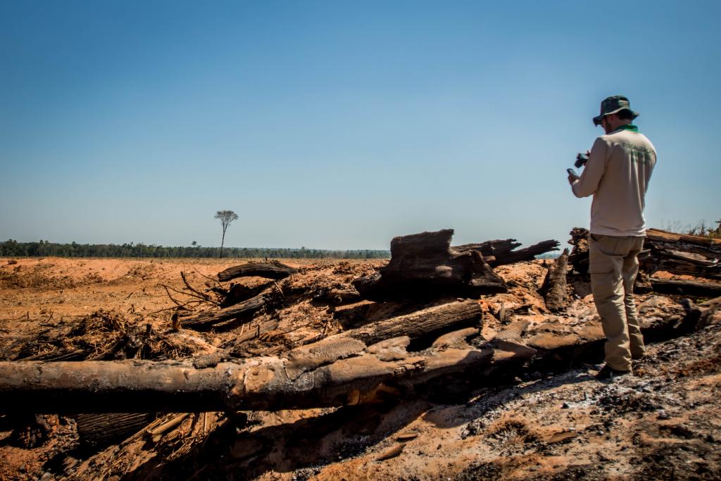 Mato Grosso aplicou R$ 1,2 bilhão em multa por crimes ambientais em 2022