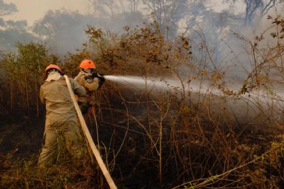 MT tem 30 dias para apresentar ao STF o plano de prevenção de queimadas no Pantanal