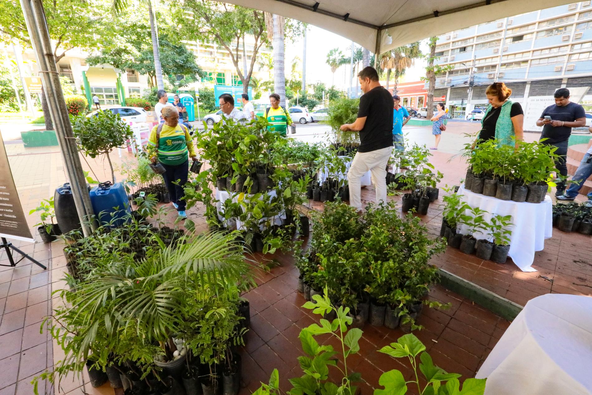 Projeto de doação de mudas frutíferas é um sucesso e será desenvolvido em outras regiões da cidade ao longo do mês