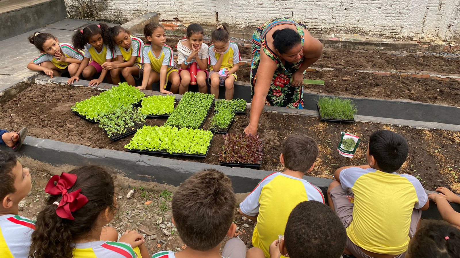 Programa 'Escola Verde' da Prefeitura de Várzea Grande, fomenta conscientização e sustentabilidade do meio ambiente