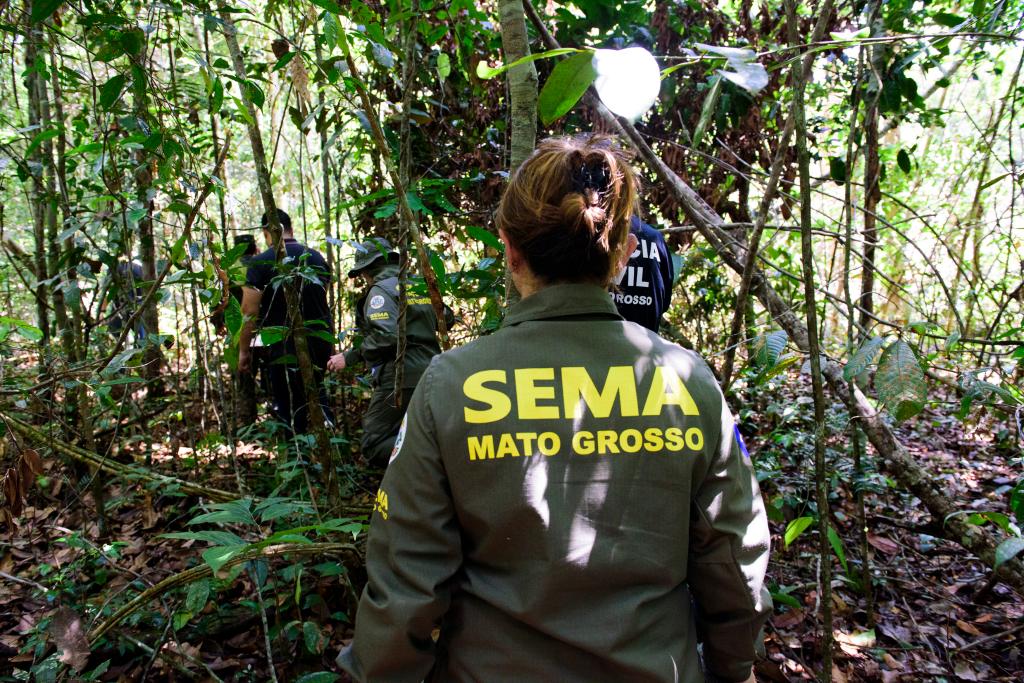 Governo de MT já aplicou R$ 303 milhões em multas por crimes ambientais em 2024