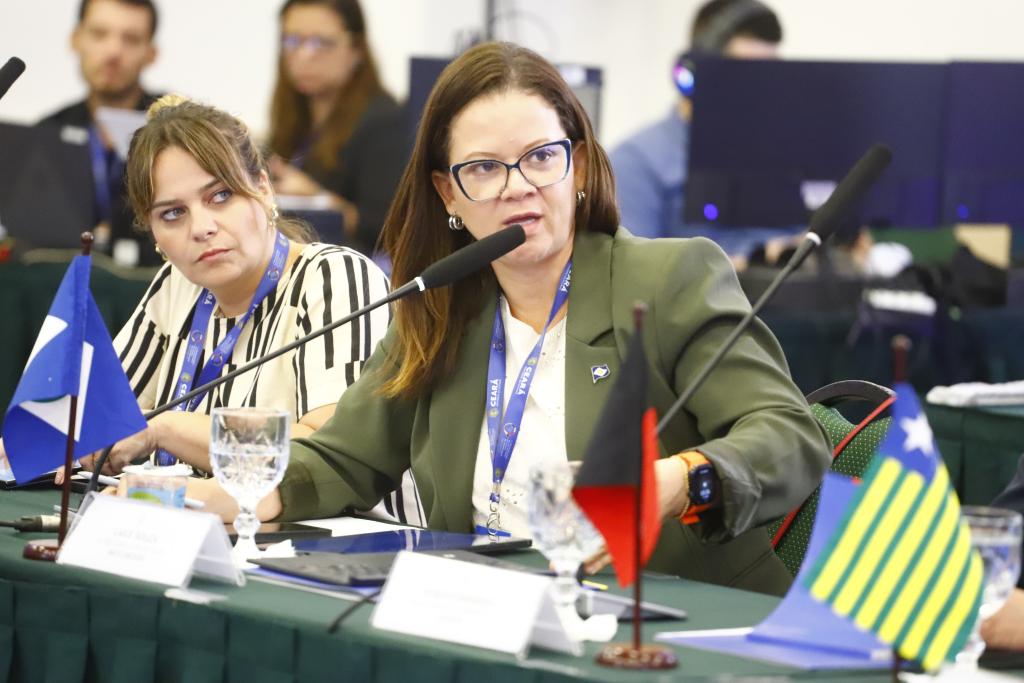 Revisão da Lei de Publicidade Mato Grosso Lidera Grupo de Trabalho Nacional