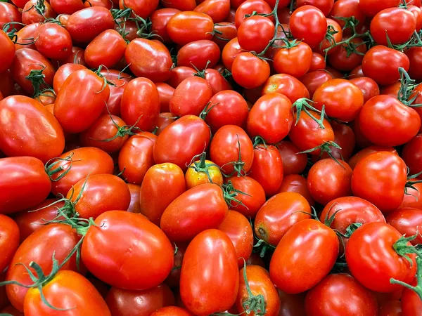 Preço do tomate quase dobra em 1 ano