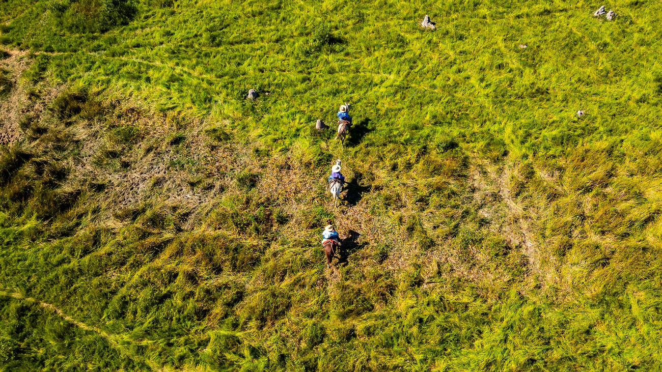 Produtores devem estar atentos ao início do período proibitivo do uso do fogo no Pantanal