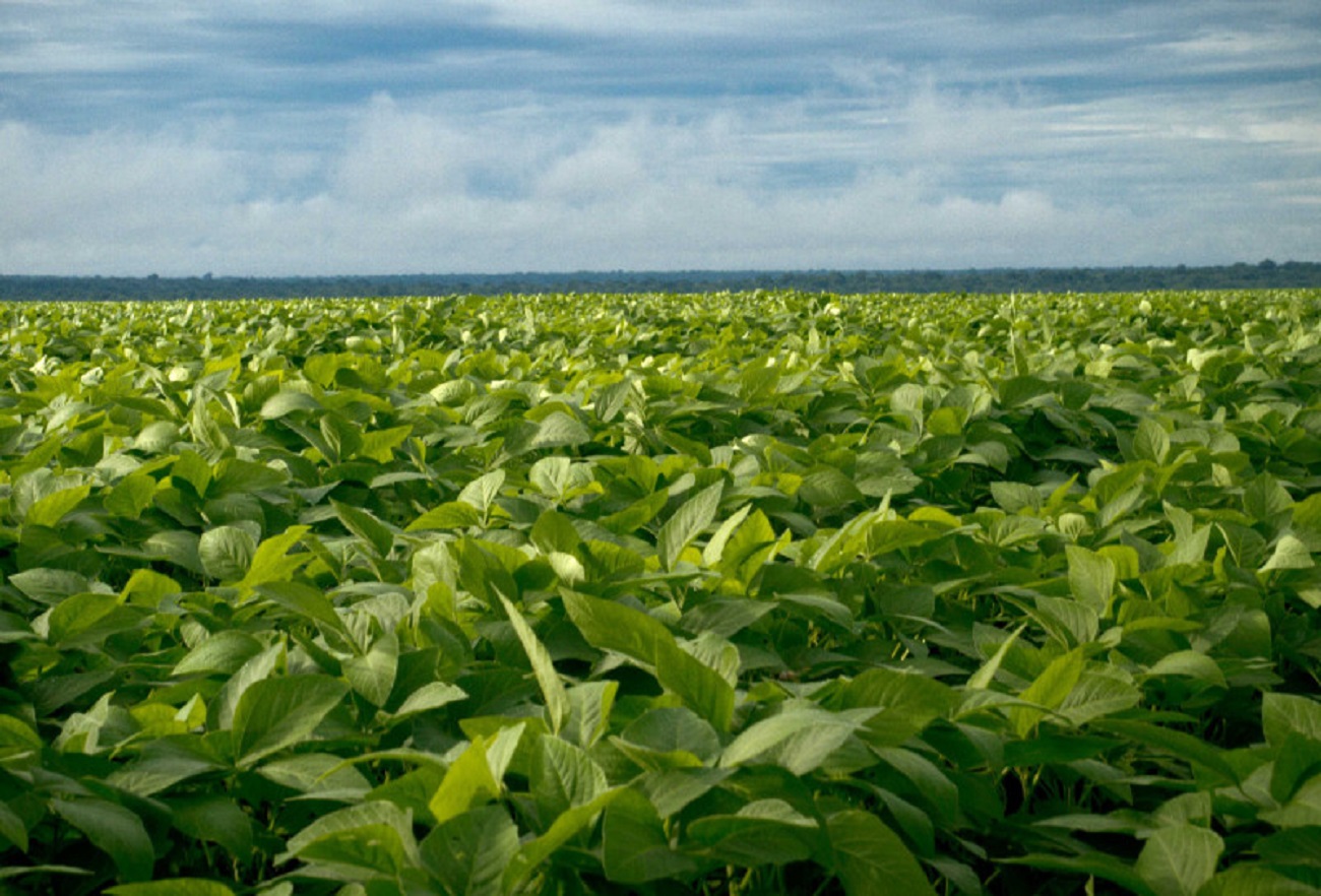 Governador de MT vai mostrar potencial do agro ao público europeu
