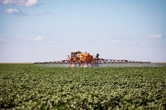 Mato Grosso puxa alta na estimativa de produção agrícola e consolida liderança nacional