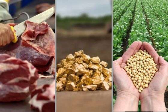Taxação de 50% dos EUA impacta ouro, carne e soja, ameaçando economia de Mato Grosso