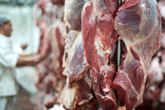 81 países importam carne bovina de Mato Grosso; China lidera compradores