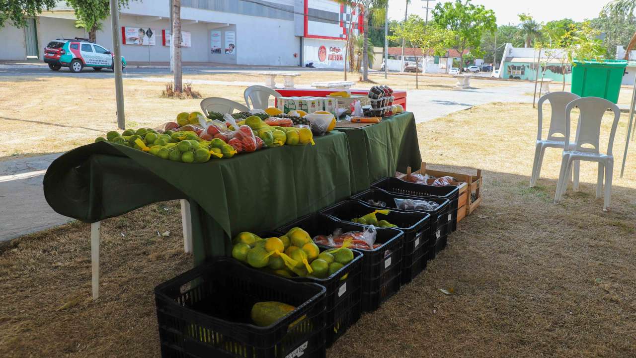 Incentivar o pequeno produtor é incentivar o desenvolvimento de Várzea Grande, afirma Flávia Moretti