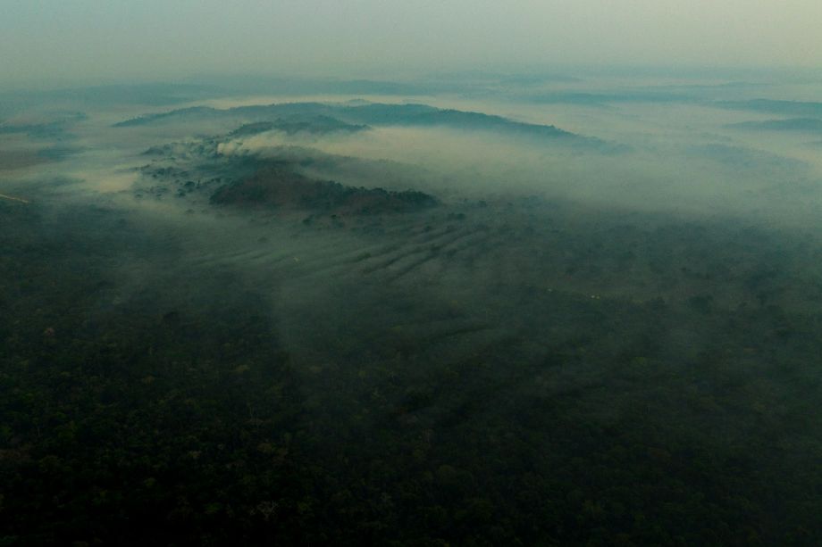 Fogo atinge Parque Cristalino há um mês, aponta observatório